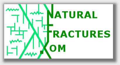 Natural Fractures logo